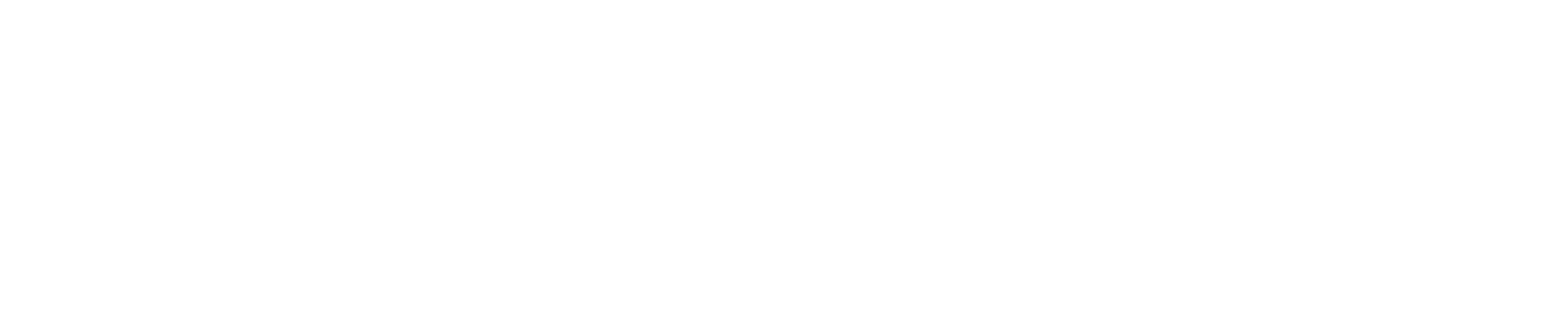 Argus System